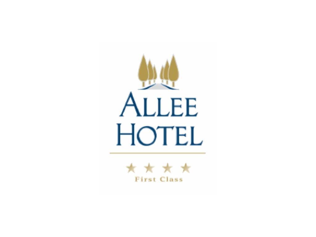 Allee Hotel Neustadt an der Aisch Extérieur photo